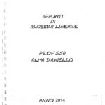D’ANIELLO Algebra e Geometria-1_page-0001