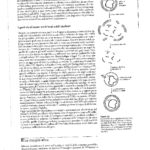 DUILIO BIOLOGIA MOLECOLARE-4_page-0001
