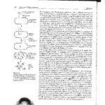 DUILIO BIOLOGIA MOLECOLARE-5_page-0001