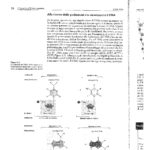 DUILIO BIOLOGIA MOLECOLARE-7_page-0001