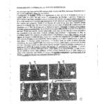 FUCCI BIOLOGIA MOLECOLARE-1_page-0001