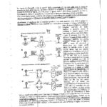 FUCCI BIOLOGIA MOLECOLARE-3_page-0001