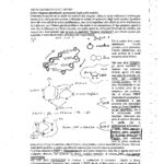 FUCCI BIOLOGIA MOLECOLARE-6_page-0001