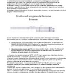 Missero 2015 molecol avanzata-6_page-0001