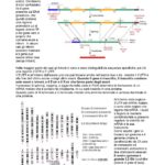Missero 2015 molecol avanzata-8_page-0001