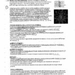Pagine da TESCIONE-sbobbinature chimica_Pagina_05