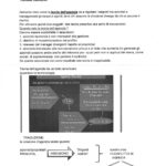 catuogno governance-10_page-0001